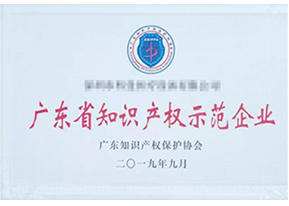 广东省知识产权示范企业